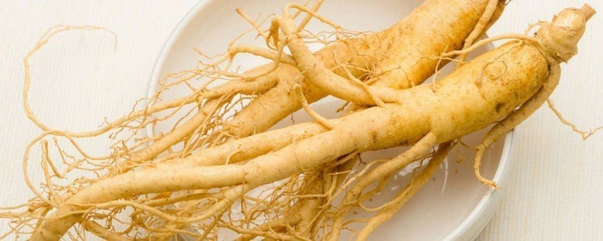 Ginseng-Wurzel